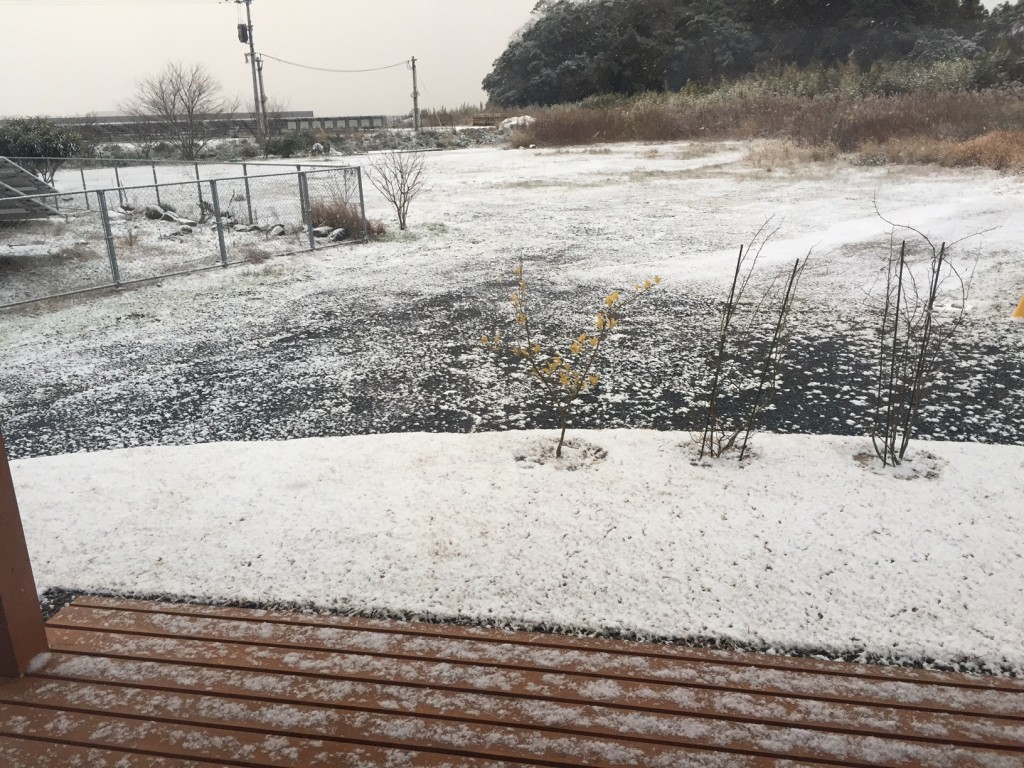 朝起きると家の周りが雪景色でした